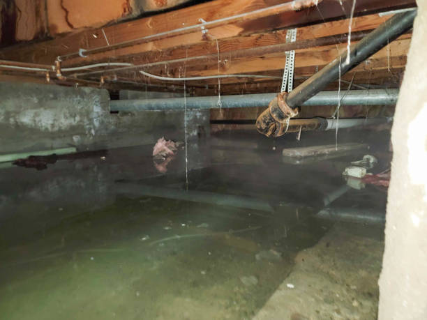 Salem, IN Water damage restoration Company