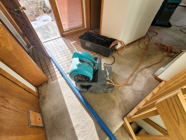 Best Flood damage cleanup  in Salem, IN