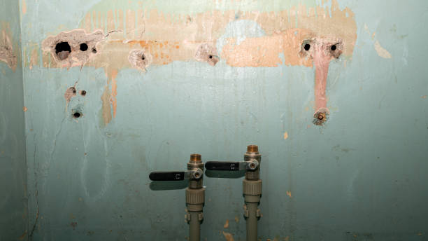 Local water damage restoration in Salem, IN