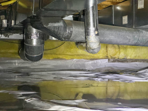 Best Basement water damage restoration  in Salem, IN